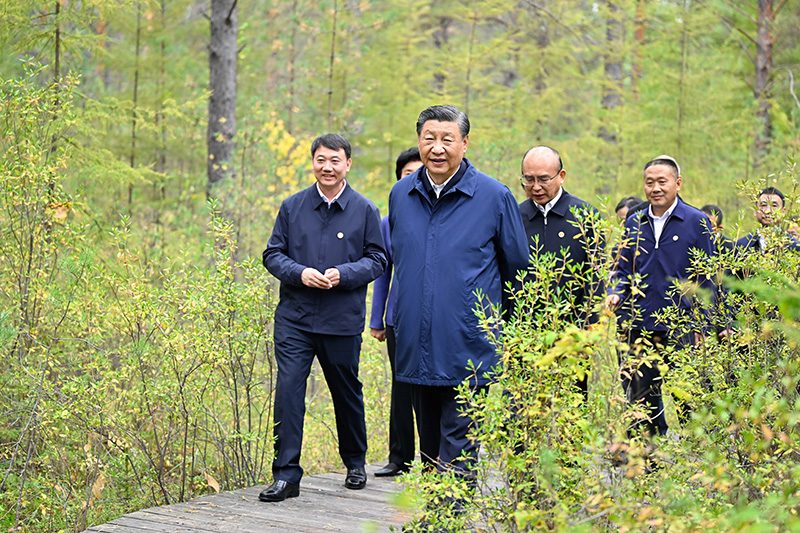 9月6日至8日，中共中央总书记、国家主席、中央军委主席习近平在黑龙江考察。这是6日下午，习近平在大兴安岭地区漠河市漠河林场自然林区考察